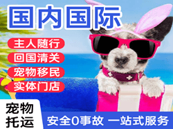 嫩江墨尔根航空邮寄国际宠物托运 【国